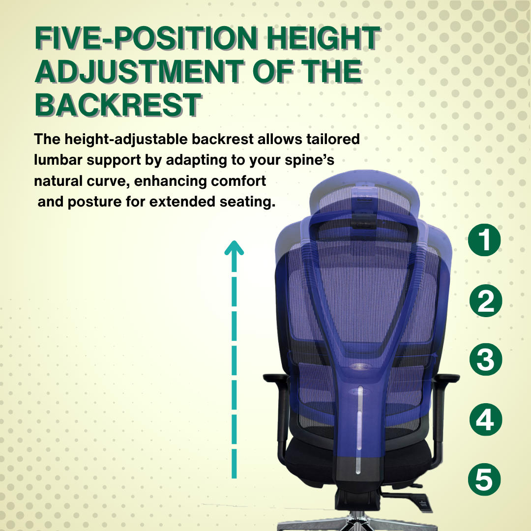Reiko Elevate 30 Ergonomic Chair Fabric Cushion Seat Chair - 3 Years Warranty (Office Chair, Ergonomic Chair, Gaming)