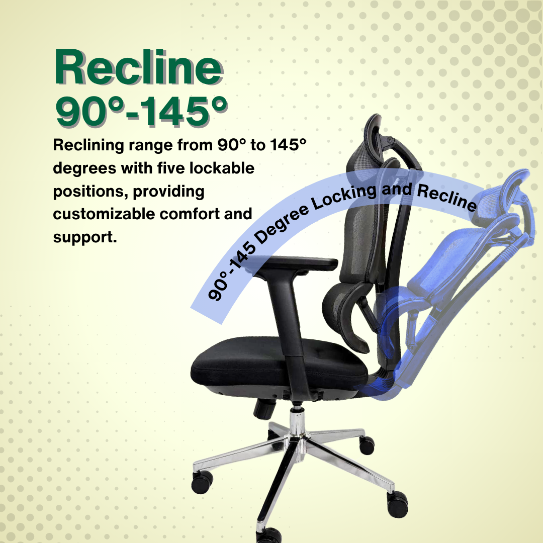 Reiko Elevate 30 Ergonomic Chair Fabric Cushion Seat Chair - 3 Years Warranty (Office Chair, Ergonomic Chair, Gaming)