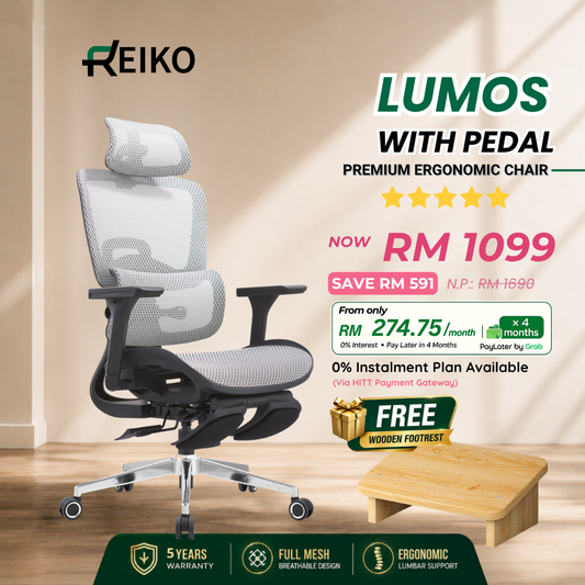 Reiko Lumos full mesh ergonomic office chair Malaysia - AutoFlex lumbar support 4D armrest