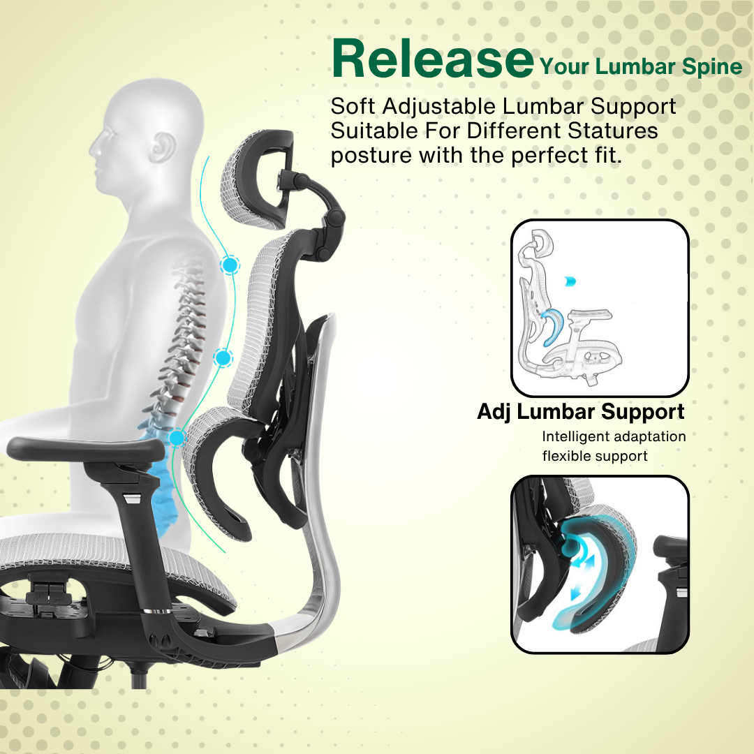 Reiko Orbit with Pedal Ergonomic Chair Full Mesh Chair - 5 Years Warranty (Office Chair, Adjustable Lumbar Chair, Gaming Chair)