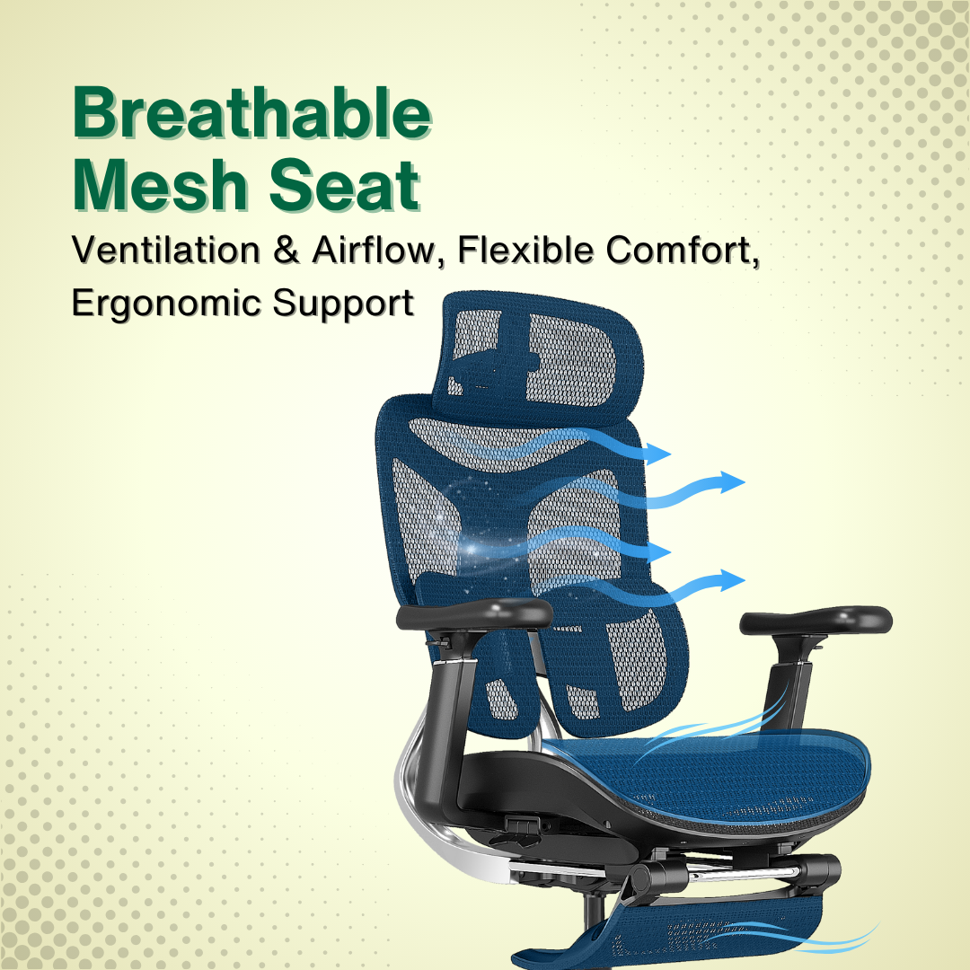 Reiko Ergolux with Pedal Ergonomic Chair Full Mesh 5 Years Warranty Office Chair, Adjustable Lumbar Chair, Gaming Chair