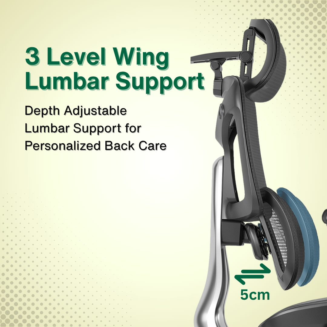 Reiko Ergolux with Pedal Ergonomic Chair Full Mesh 5 Years Warranty Office Chair, Adjustable Lumbar Chair, Gaming Chair