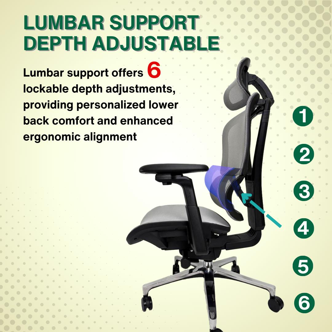 Reiko Nova 30 Full Mesh Ergonomic Chair - 3 Years Warranty (Office Chair, Adjustable Lumbar Chair, Gaming Chair)