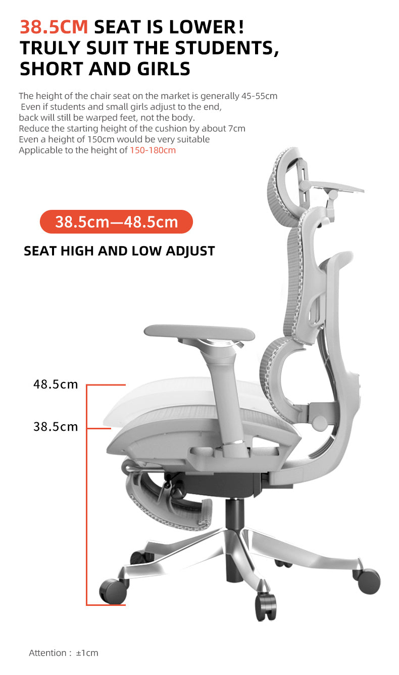 Reiko Aurelia Ergonomic Chair Full Mesh 6D Armrest Ergonomic Office Aluminum Chair Heavy Duty with Footrest