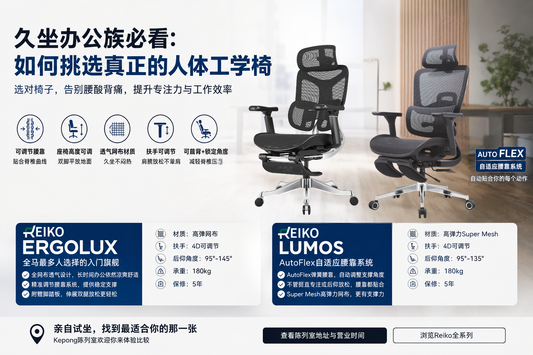 Reiko Ergolux 与 Lumos 人体工学椅对比图，展示两款椅子的关键功能与适合人群