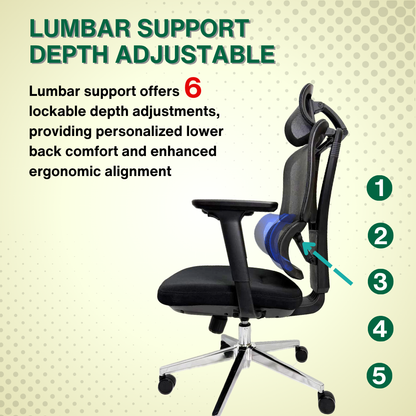 Reiko Elevate 30  Ergonomic Chair Fabric Cushion Seat Chair - 3 Years Warranty (Office Chair, Ergonomic Chair, Gaming)