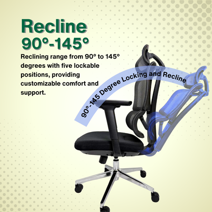 Reiko Elevate 30  Ergonomic Chair Fabric Cushion Seat Chair - 3 Years Warranty (Office Chair, Ergonomic Chair, Gaming)