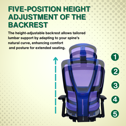 Reiko Nova 30 Full Mesh Ergonomic Chair - 3 Years Warranty (Office Chair, Adjustable Lumbar Chair, Gaming Chair)