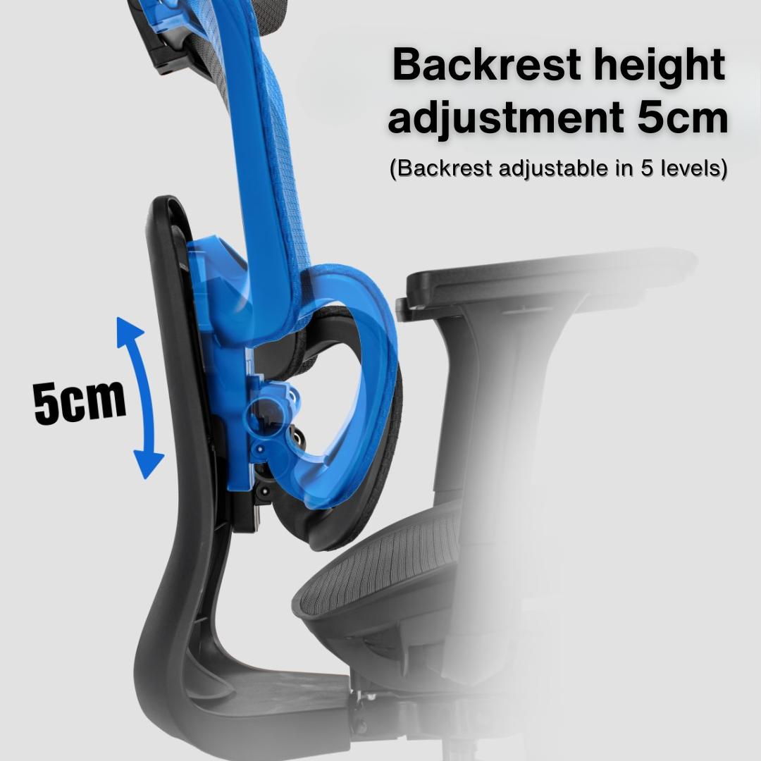 Reiko Lumos with Pedal Ergonomic Chair Full Mesh Office Chair, Adjustable Lumbar Chair, Gaming Chair - 5 Years Warranty