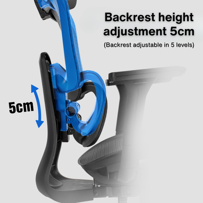 Reiko Lumos with Pedal Ergonomic Chair Full Mesh Office Chair, Adjustable Lumbar Chair, Gaming Chair - 5 Years Warranty