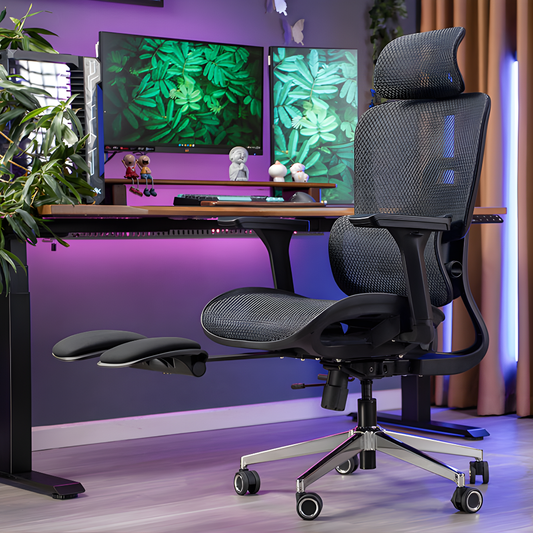 Reiko Lumos Ergonomic Chair
