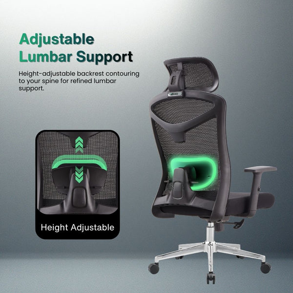 Reiko Elite Ergonomic Chair specifications