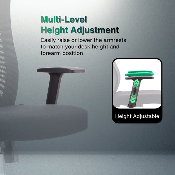 Reiko Elite Ergonomic Chair specifications