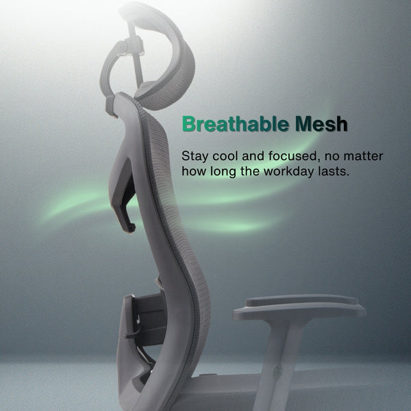 Reiko Elite Ergonomic Chair specifications