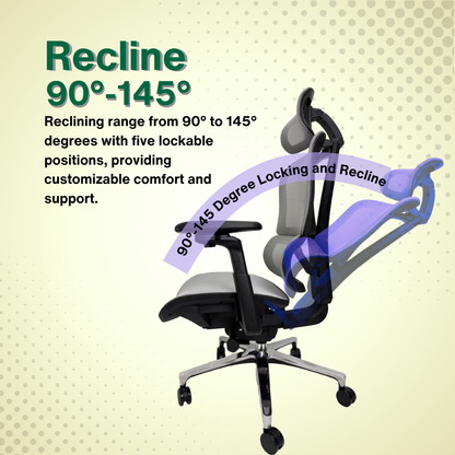 Reiko Nova 30 Full Mesh Ergonomic Chair - 3 Years Warranty (Office Chair, Adjustable Lumbar Chair, Gaming Chair)