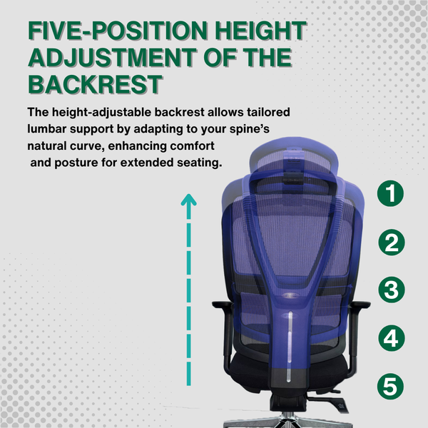 Reiko Elevate 30 Ergonomic Chair specifications