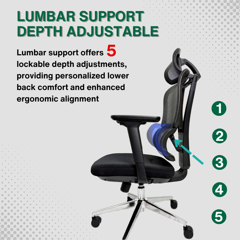 Reiko Elevate 30 人体工学椅 specifications