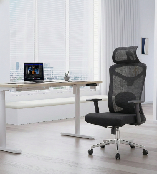 Reiko Elite Ergonomic Chair