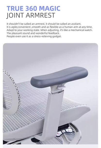 Reiko Ergolux with Pedal Ergonomic Chair Full Mesh 5 Years Warranty Office Chair, Adjustable Lumbar Chair, Gaming Chair