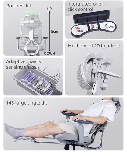 Reiko Ergolux with Pedal Ergonomic Chair Full Mesh 5 Years Warranty Office Chair, Adjustable Lumbar Chair, Gaming Chair