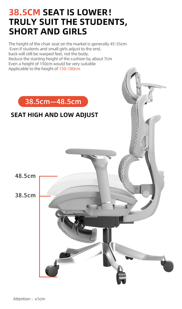 Reiko Aurelia Ergonomic Chair specifications