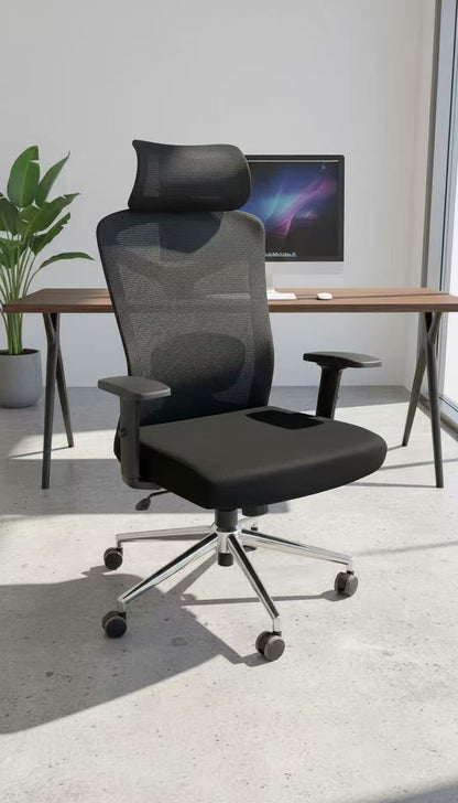 Reiko Elite Ergonomic Chair