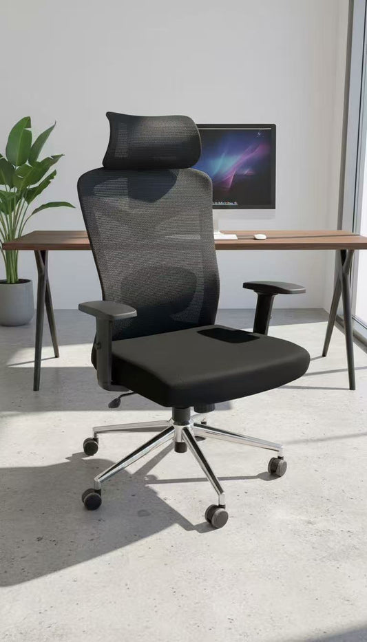 Reiko Elite ergonomic chair home office setup Malaysia