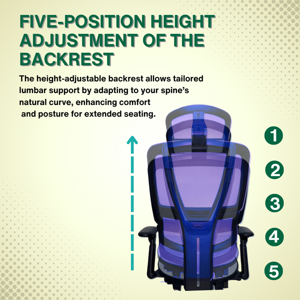 Reiko Nova 30 Ergonomic Chair specifications