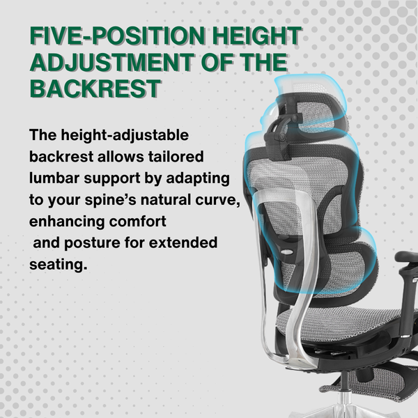 Reiko Orbit Ergonomic Chair specifications