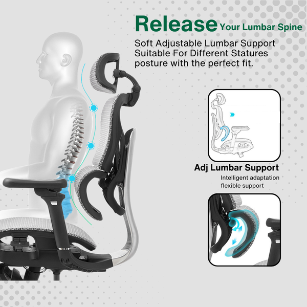 Reiko Orbit Ergonomic Chair specifications