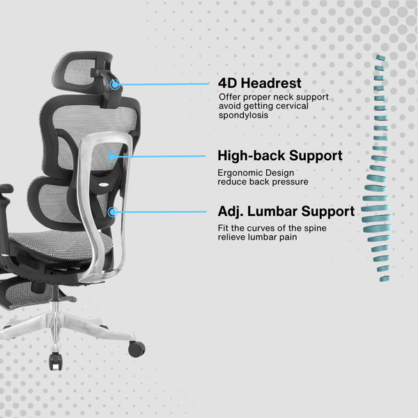 Reiko Orbit Ergonomic Chair specifications