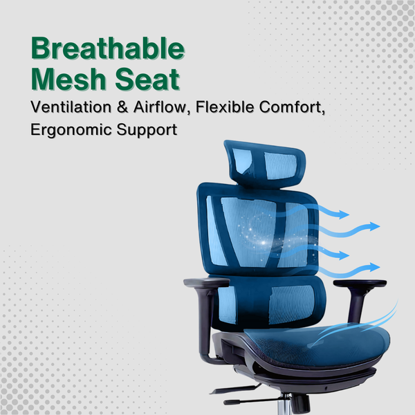 Reiko Vertex Ergonomic Chair specifications