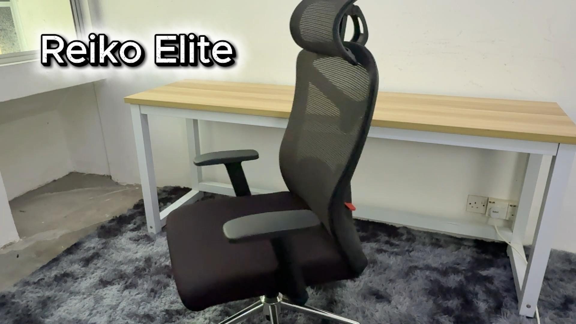 Reiko Elite ergonomic chair operation guide video showing adjustment features
