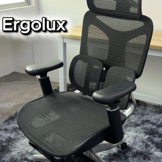 Reiko Ergolux ergonomic chair operation guide video showing adjustment features