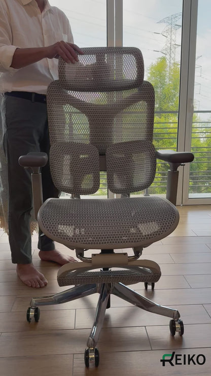 Reiko Ergolux with Pedal Ergonomic Chair Full Mesh 5 Years Warranty Office Chair, Adjustable Lumbar Chair, Gaming Chair